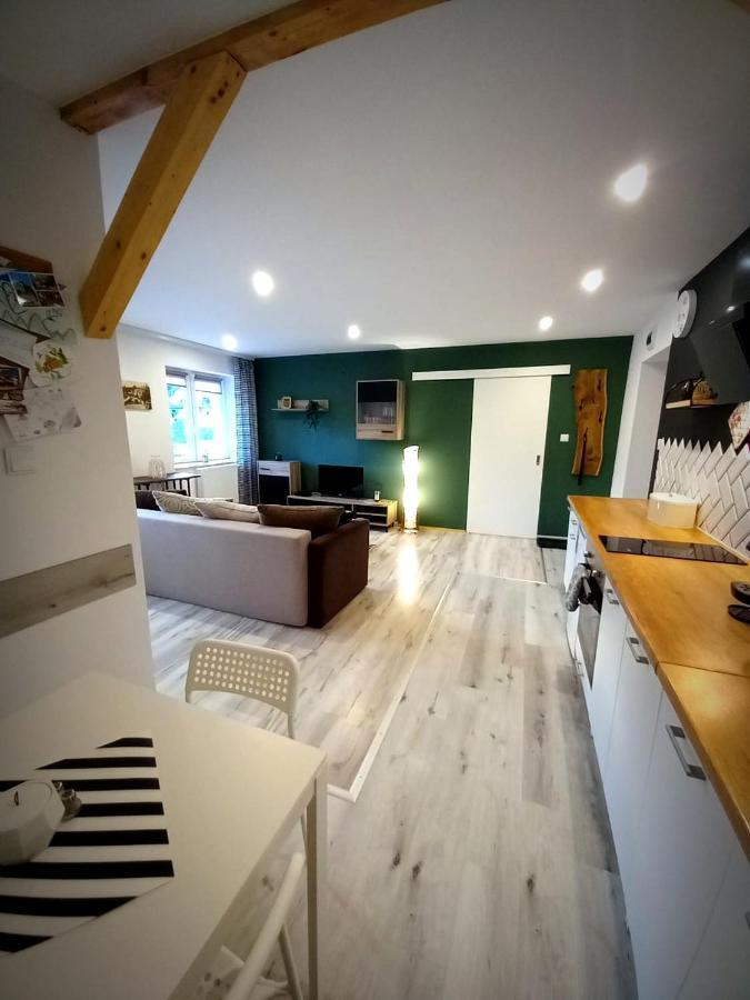 Apartament u Edka przy Dolnej Świeradów-Zdrój Zewnętrze zdjęcie
